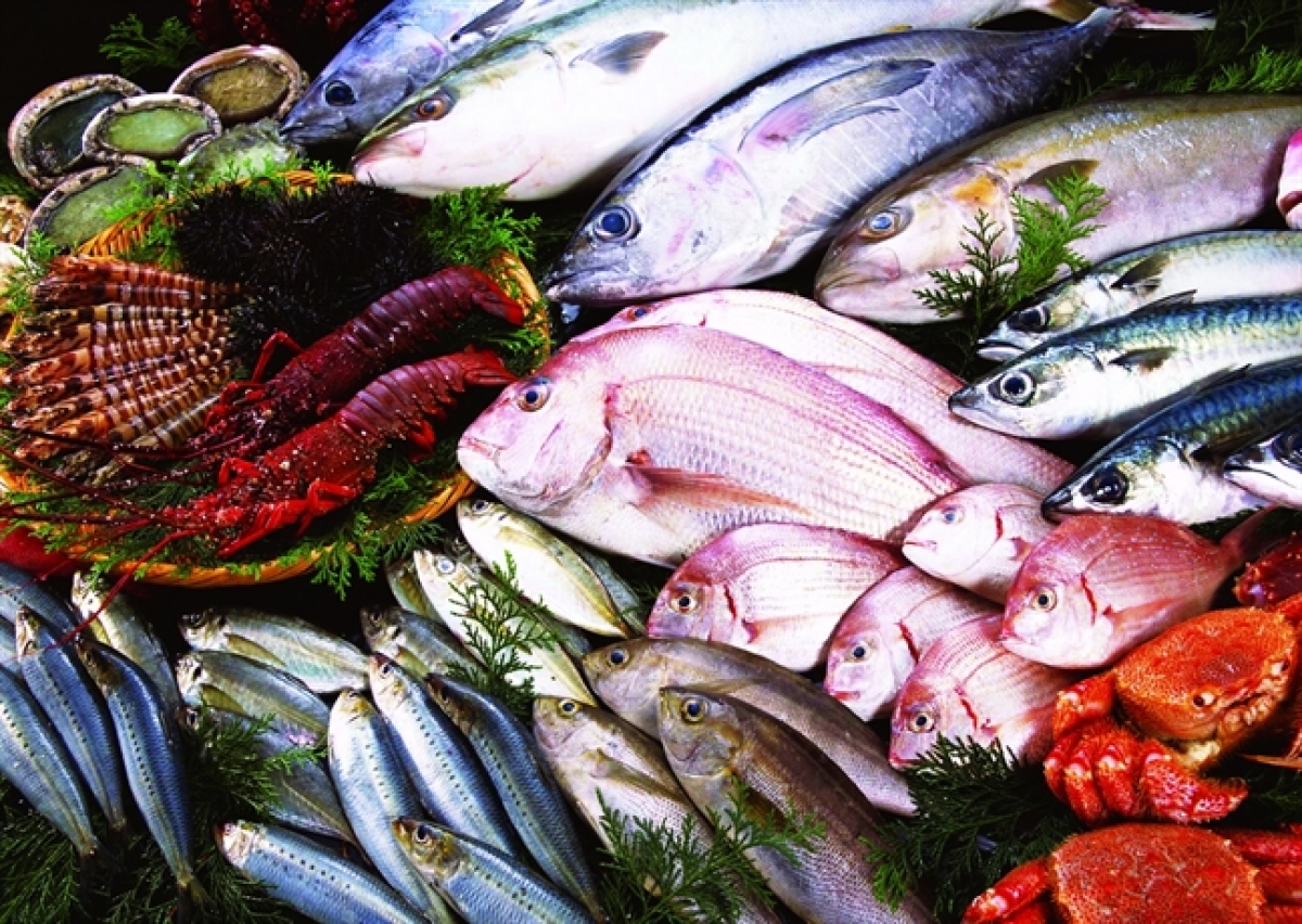 Đại Cát Tường Seafood phân phối thủy hải sản toàn quốc