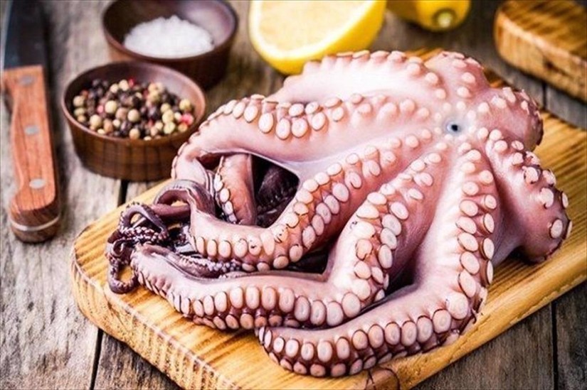 Bạch Tuộc Tươi & Đông Lạnh – Nguồn Cung Ổn Định Tại Đại Cát Tường Seafood