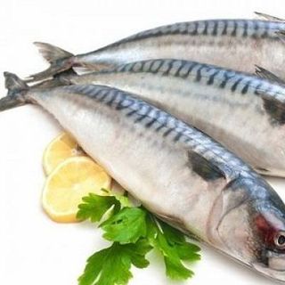 Cá Nục Gai 2026 – Sản Phẩm Chiến Lược Của Đại Cát Tường Seafood